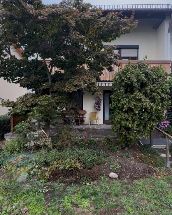 Vorher: verwilderter Gartenbereich am Wohnhaus mit hohem Unkrautbewuchs, durchwachsenen Beeten und groß gewachsenen Gehölzen vor der Terrasse